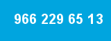 966 229 65 13